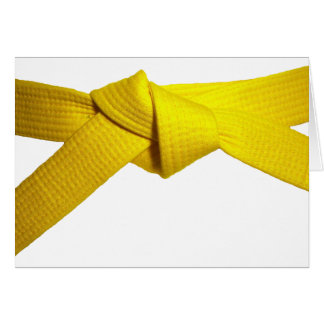 Yellow Belt