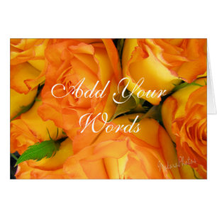 Yellow Bi-colour Roses-customise