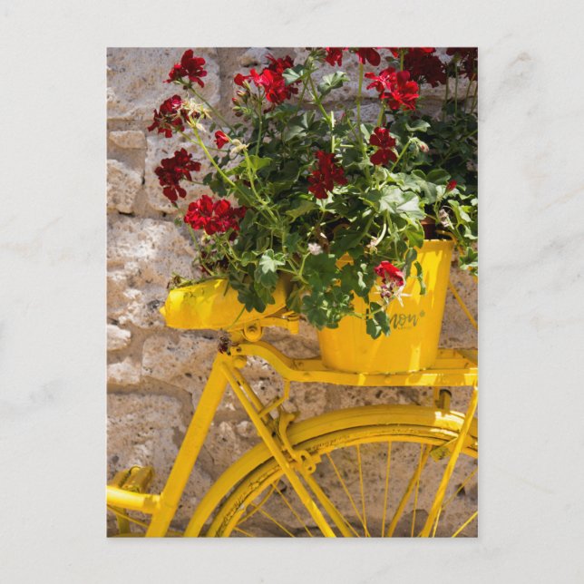 Yellow Bicycle Postcard (Front)