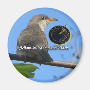 Yellow-billed Cuckoo magnet