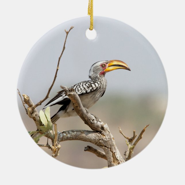 Yellow billed hornbill ceramic tree decoration (Back)