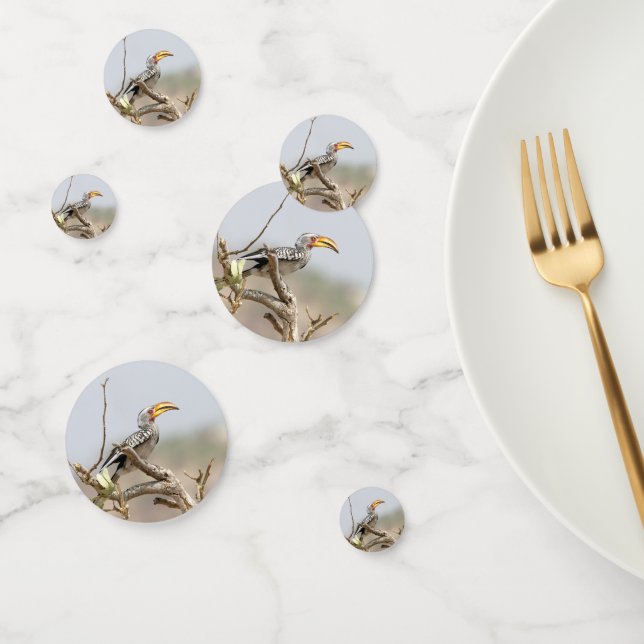 Yellow billed hornbill confetti (Group)