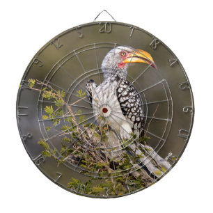 Yellow billed hornbill dartboard