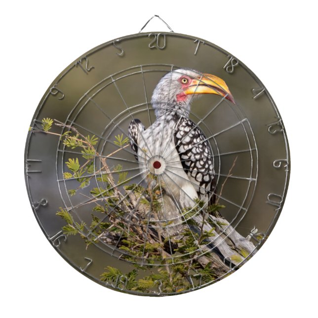 Yellow billed hornbill dartboard (Front)