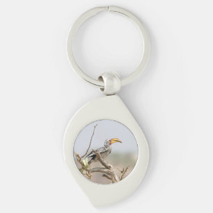 Yellow billed hornbill key ring