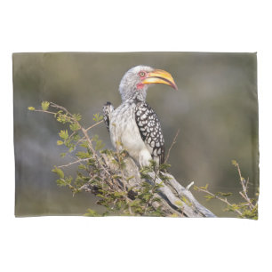 Yellow billed hornbill pillowcase