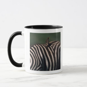 Yellow-billed oxpecker (Buphagus africanus) Mug