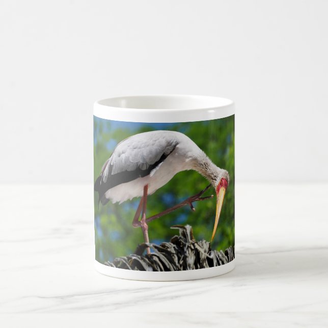 Yellow-billed stork perched on tree  coffee mug (Center)