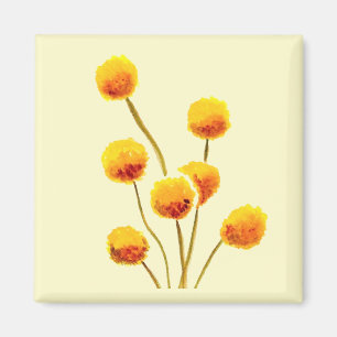 Yellow Billy Button native Australian flower Magnet