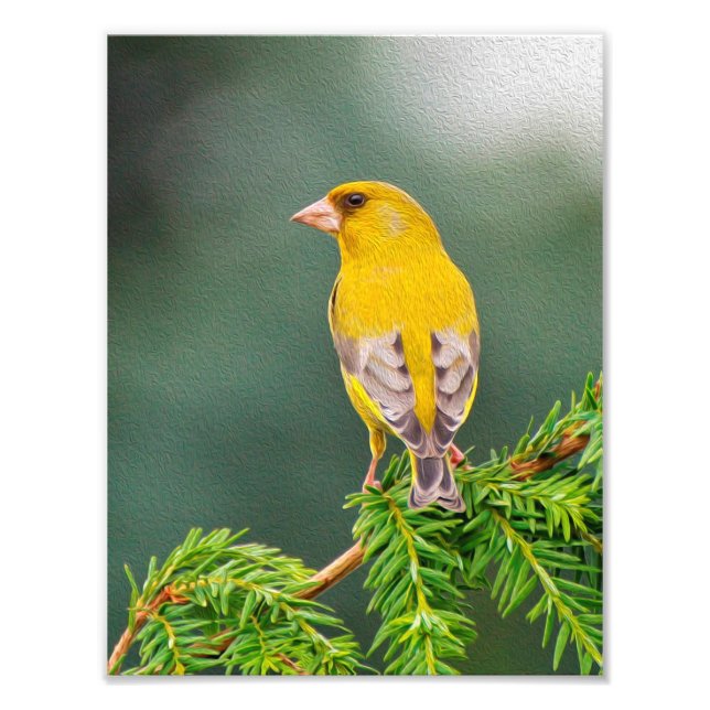 Yellow Bird on Branch Photo Print (Front)