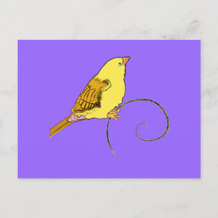 Yellow Bird Postcard