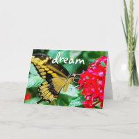 Yellow black butterfly photo dream script modern