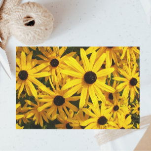 Yellow Black Eyed Susans Floral Tissue Paper