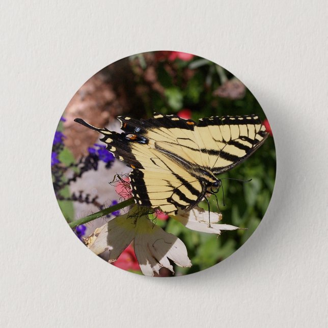 Yellow & Black Fantail Butterfly 6 Cm Round Badge (Front)