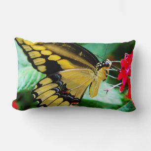 Yellow black swallowtail butterfly photo modern lumbar cushion