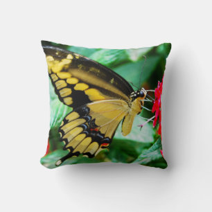 Yellow black swallowtail butterfly photo simple cushion