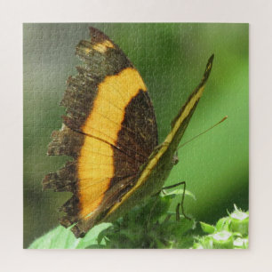 Yellow & Black Tropical Butterfly Jigsaw Puzzle
