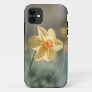 Yellow Blossom Daffodil Nature Photo iPhone 11 Case