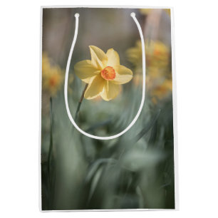 Yellow Blossom Daffodil Nature Photo Medium Gift Bag