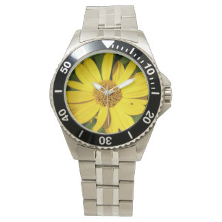 Yellow blossom with green leaves watch