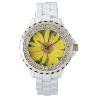 Yellow blossom with green leaves watch