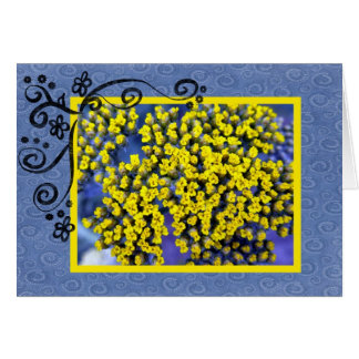 Yellow Blossoms