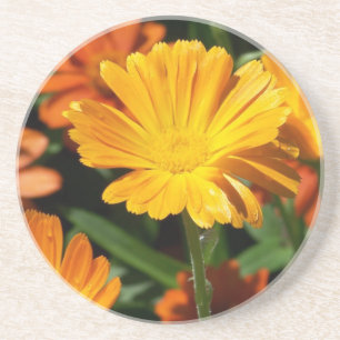 Yellow Blossoms Flowers Art Peace Love Destiny Coaster