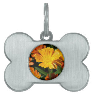 Yellow Blossoms Flowers Art Peace Love Destiny Pet ID Tag