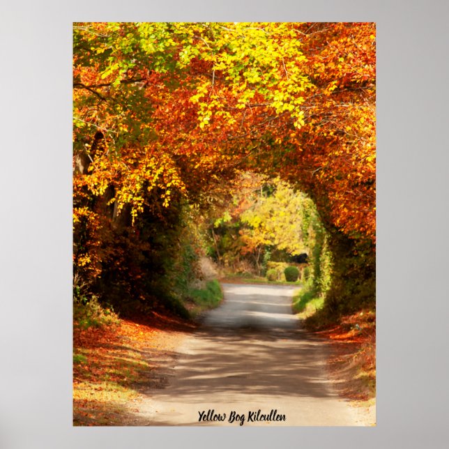 Yellow Bog Kilcullen Poster (Front)