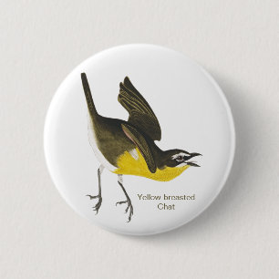 Yellow-breasted Chat, Audubon, Birdwatcher Warbler 6 Cm Round Badge