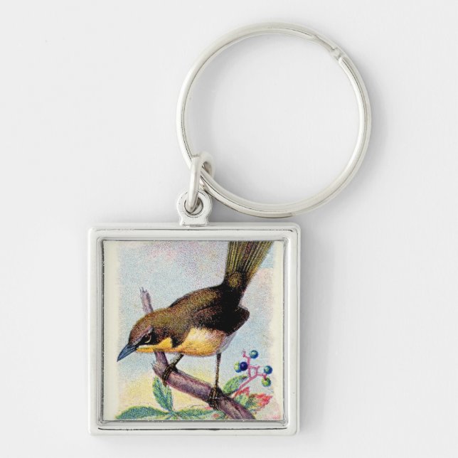 Yellow-breasted Chat Key Ring (Front)