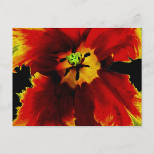 Yellow Brown on Black Flower Pattern Postcard