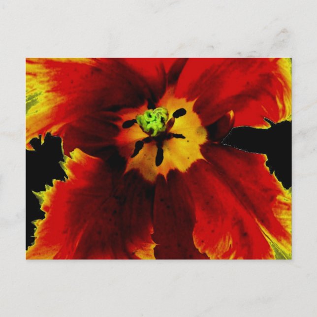 Yellow Brown on Black Flower Pattern  Postcard (Front)