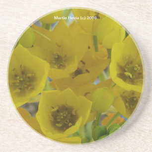 Yellow Bulb Blooms - Coaster
