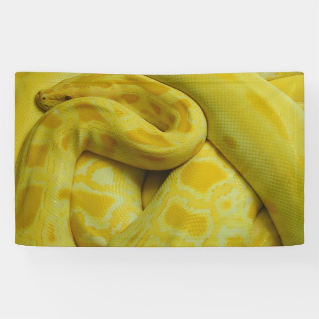 Yellow Burmese Python Banner (Horizontal)