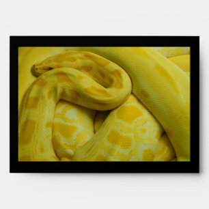 Yellow Burmese Python Envelope