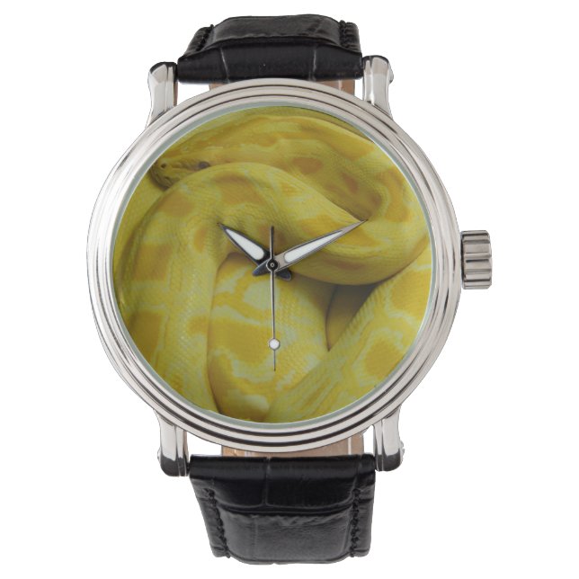 Yellow Burmese Python Watch (Front)