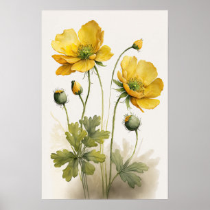 Yellow Buttercup Flowers Art Print Poster