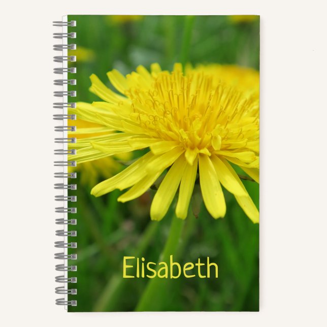 yellow, buttercup, plant, dandelion, meadow,  notebook (Front)