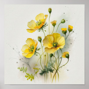 Yellow Buttercups Flower Art Print Poster
