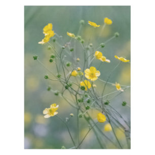 Yellow buttercups tablecloth