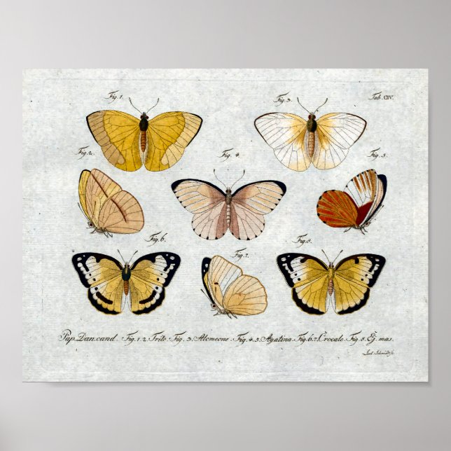 Yellow Butterflies Vintage Print Download (Front)
