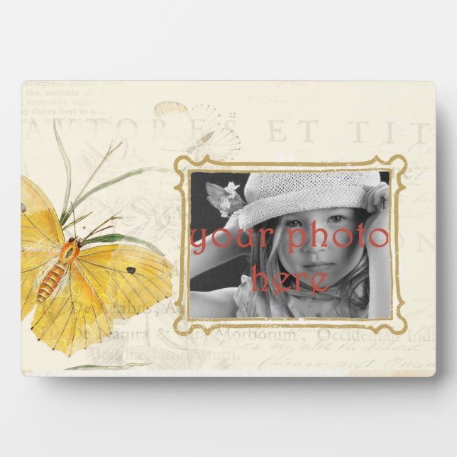 Yellow Butterfly 5 x 7 Photo Plaque with Easel (Front)