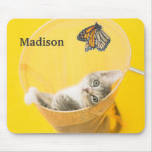 Yellow Butterfly and Kitten caught in net