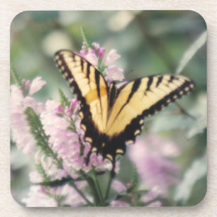 Yellow Butterfly Coasters