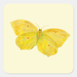 Yellow Butterfly Common Brimstone flying   Square Sticker