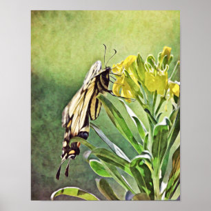 Yellow Butterfly Flowers Photographic Art Print