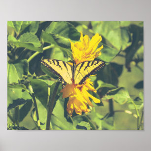 Yellow Butterfly & Flowers Poster