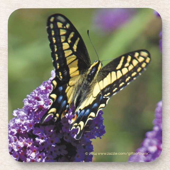 Yellow Butterfly I - Set of 6 Coasters (Front)