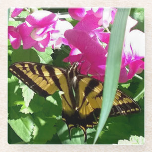 Yellow Butterfly in Spring Glass Coaster